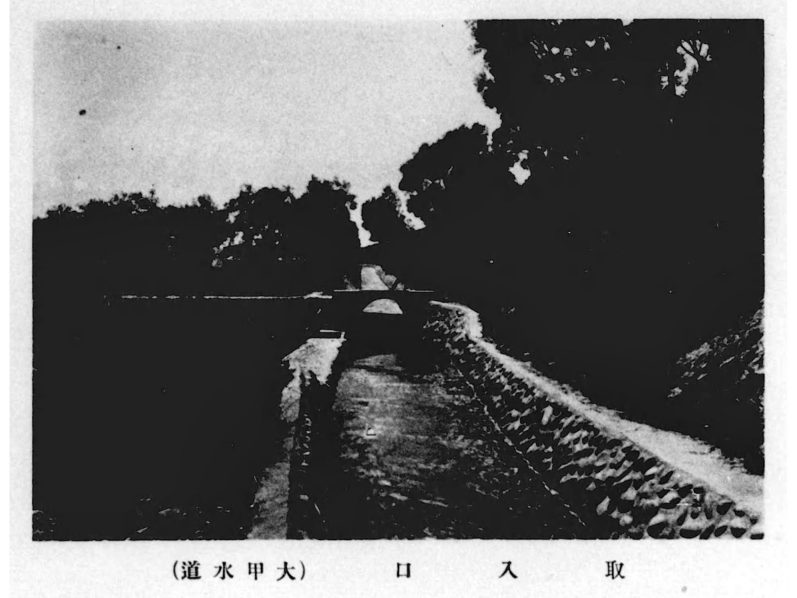 圖片來源:https://kotaine.blogspot.com/2016/01/blog-post_14.html